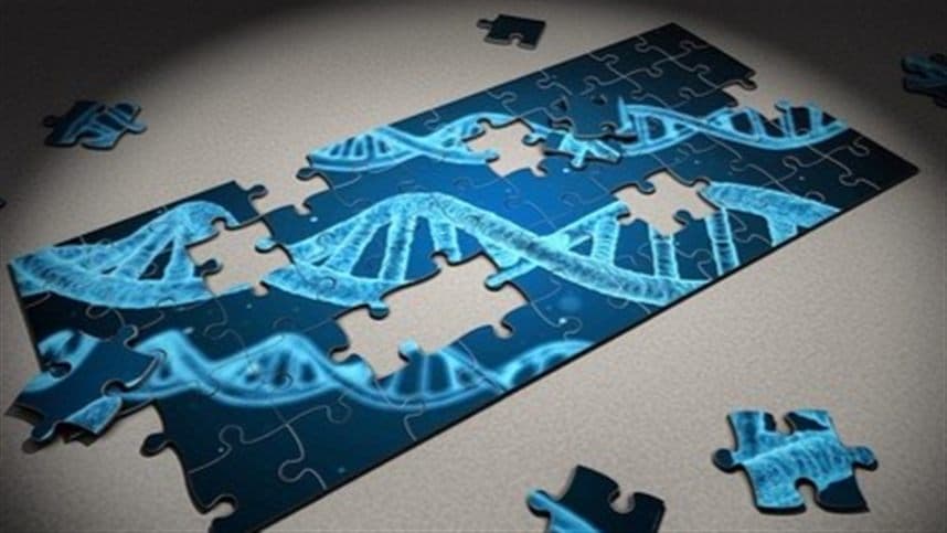 O conceito fundamental da pesquisa está na manipulação do gene CWIN