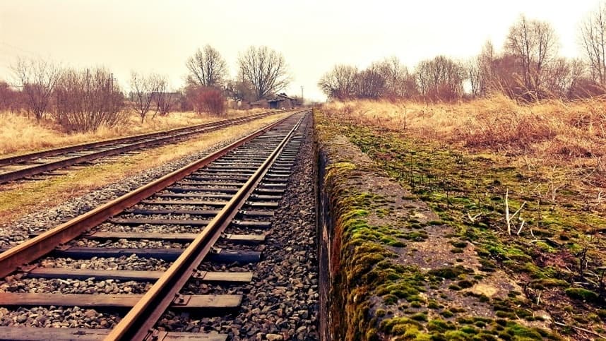 Empresas inauguram modal ferroviário para celulose