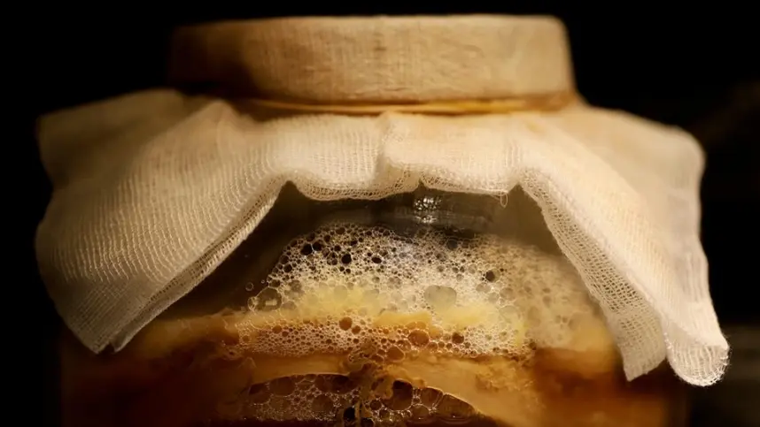 Produção de kombucha cresce 923% em seis anos