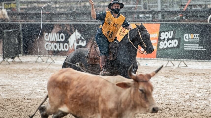 Crioulaço tem novas categorias oficiais e mudanças no regulamento para 2022