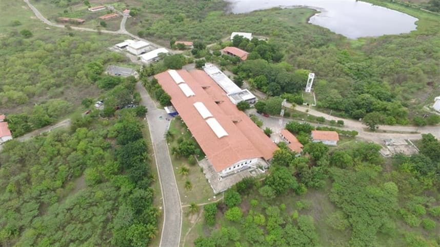 Embrapa Caprinos e Ovinos seleciona bolsistas de Iniciação Científica