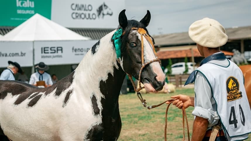 Mancha Crioula 2022 já tem data confirmada de retorno