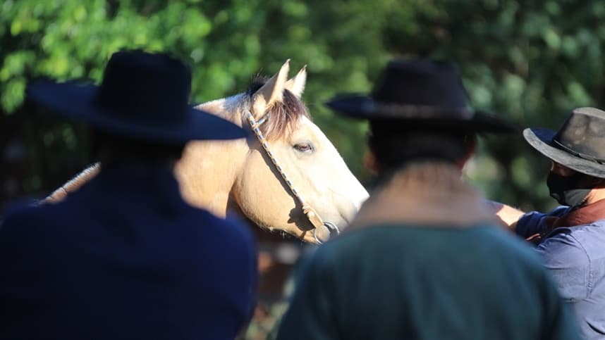 RS: Uruguaiana encerra ciclo de Exposições Passaporte do Cavalo Crioulo