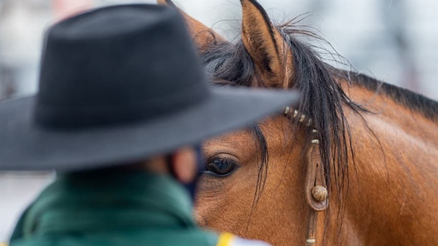 Calendário de provas do Cavalo Crioulo é adaptado para integrar a Expointer