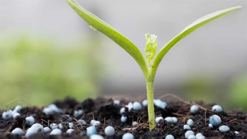 Fertilizantes: Senado aprova programa para estimular produção nacional