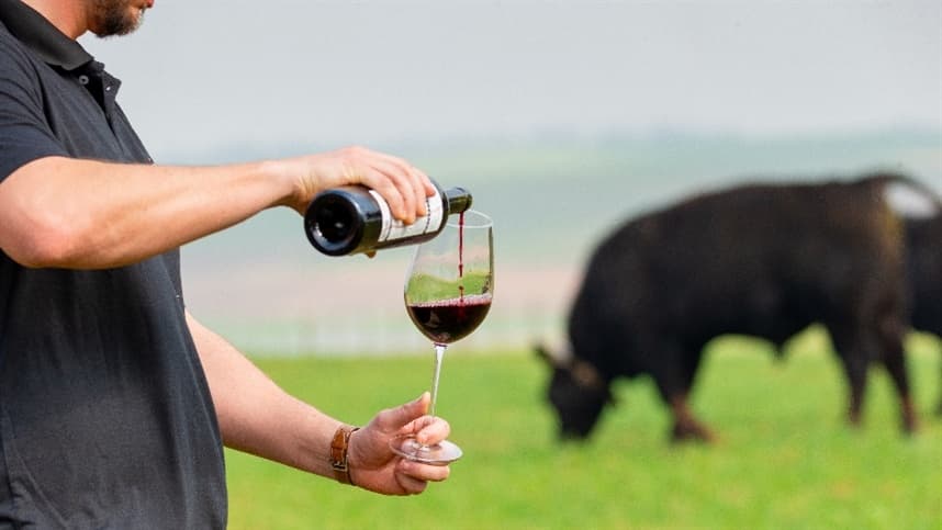 Cabanhas envasam safra exclusiva de vinho para divulgação de leilão na Expointer