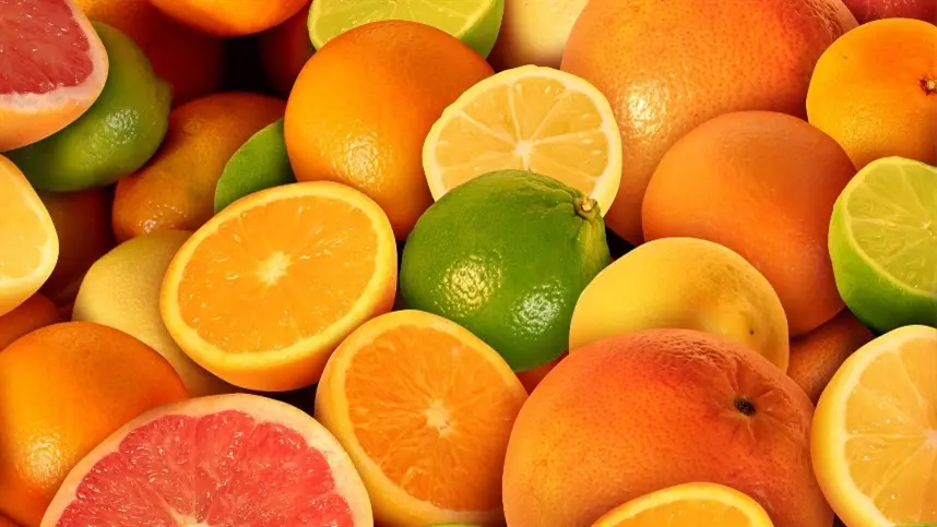 Ritmo de negócios envolvendo laranja da safra 25/26 é lento