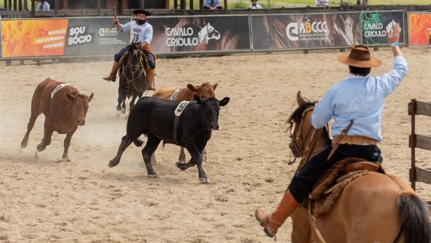 ABCCC realiza finais da Campereada e do Ranch Sorting no fim de semana
