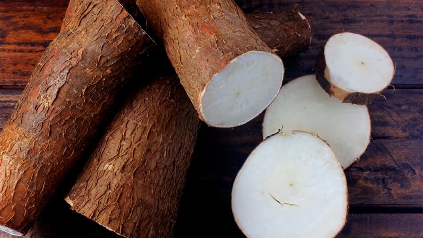 Mandioca: oferta limitada sustenta alta dos preços em agosto