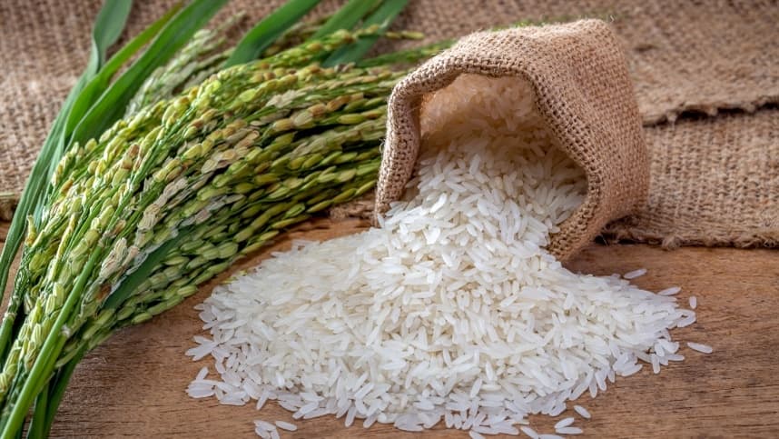 Colheita do arroz ultrapassa 98% no Rio Grande do Sul
