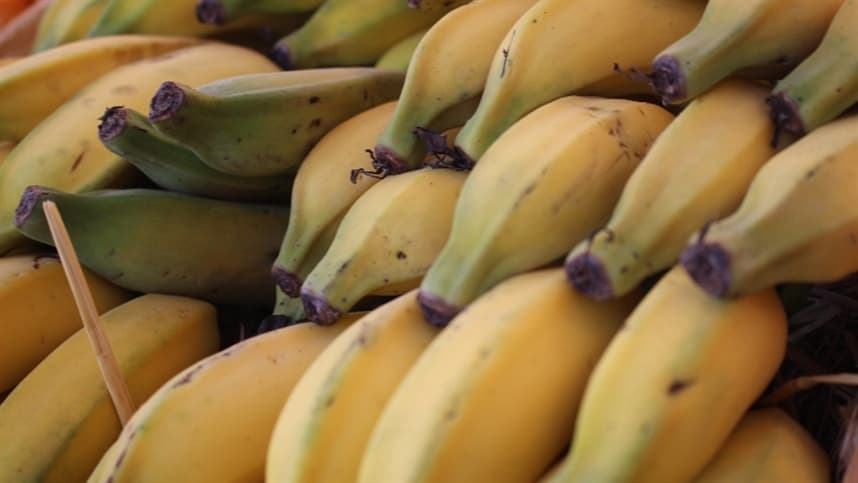 Preços da banana nanica começam a reagir