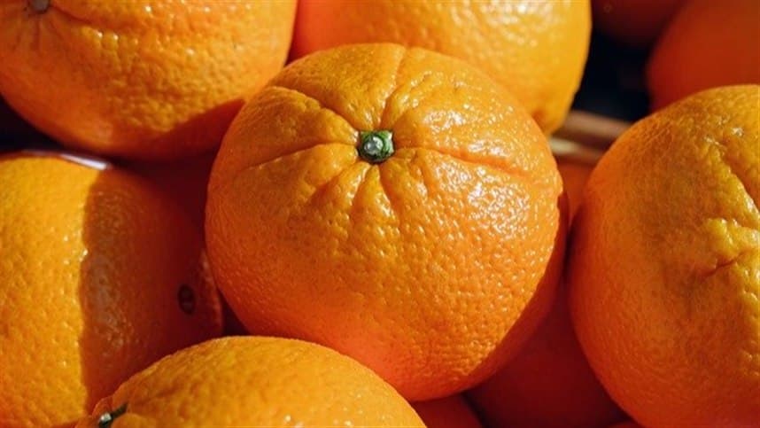 CITROS: Chuvas beneficiam pomares, mas aumentam atenção com doenças