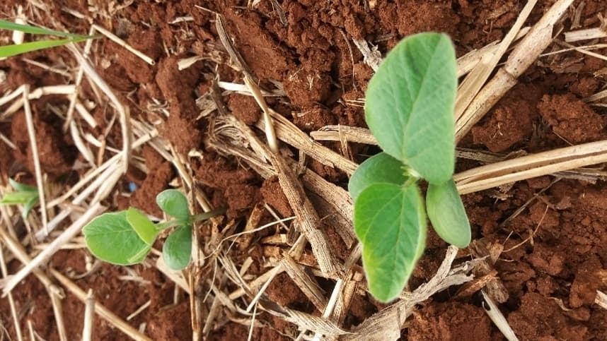 Yara apresenta soluções tecnológicas para nutrição