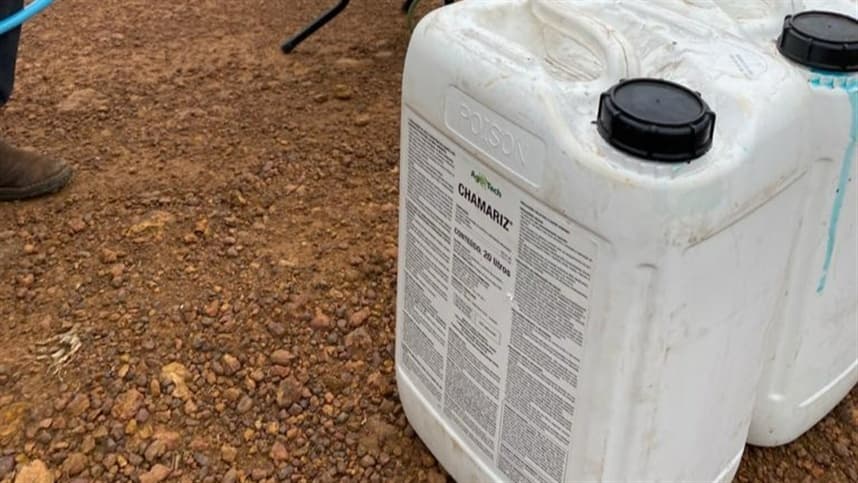 RANKING: TOP 20 agroquímicas globais