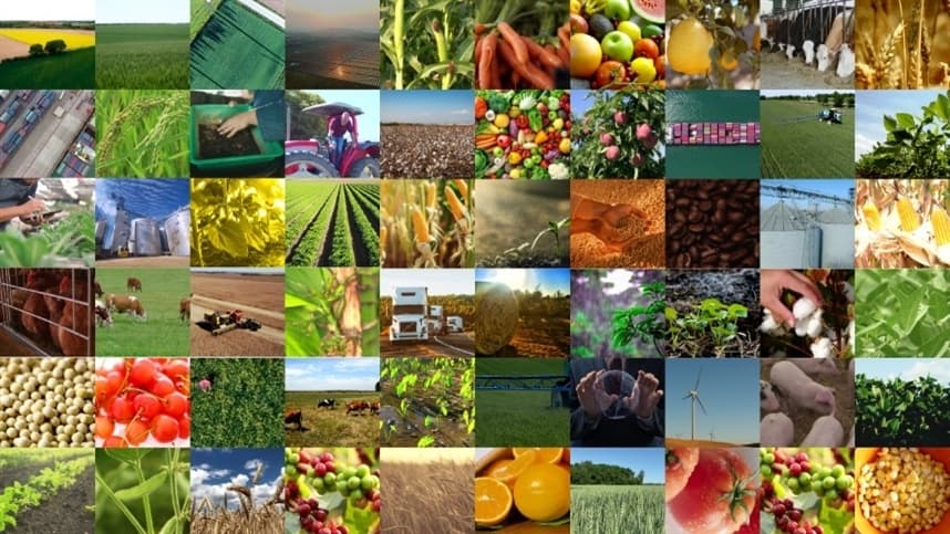 Tendências do Marketing Agro 2023: CONFIRA