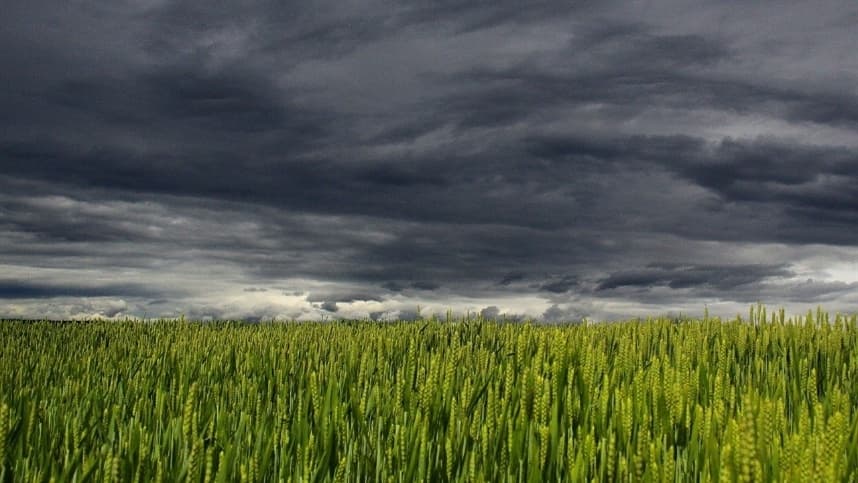 Clima vira nos EUA: Mexe nos preços?