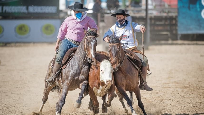 Pista do Cavalo Crioulo recebe Final Nacional de Paleteada 2022