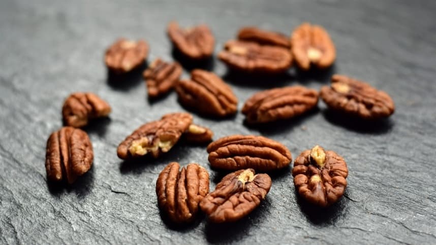 Pecanicultura surge como alternativa de renda rural