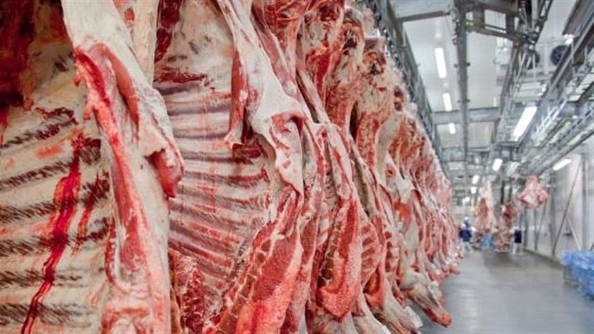 Cooperativa do Tocantins está reabilitada a exportar carne