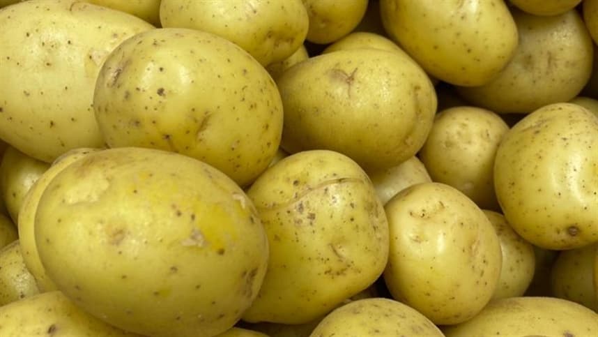 A análise detalhada revelou que o genoma da batata é um mosaico