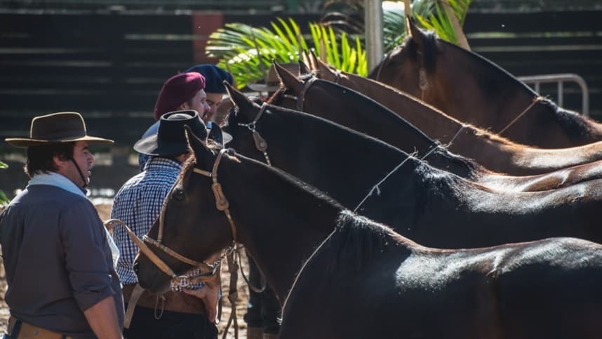 Araranguá é a próxima parada do ciclo de Exposições Passaporte