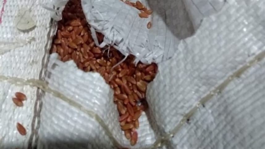 RS: operação apreende sementes e agrotóxicos piratas
