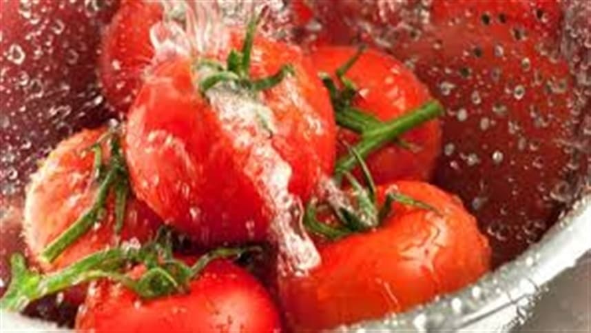 Tomate: Limpeza e seleção de frutos sem o uso de água