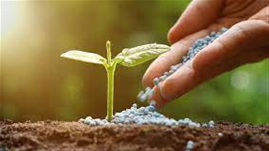Gigante do agro vai abandonar fertilizante mineral em 2 anos