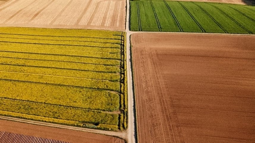 No Japão, a área média administrada por estabelecimento agrícola é de 3,7 hectares
