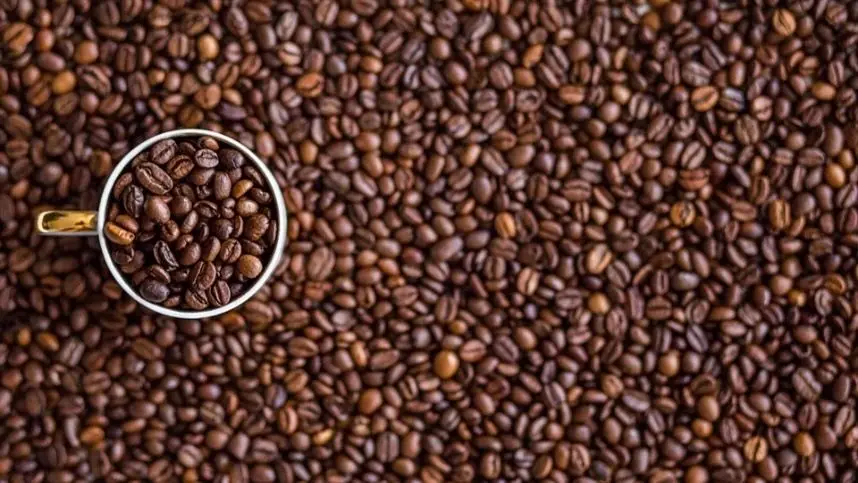 SP: Unidade Armazenadora de Garça recebe certificação e pode estocar café com selo UTZ