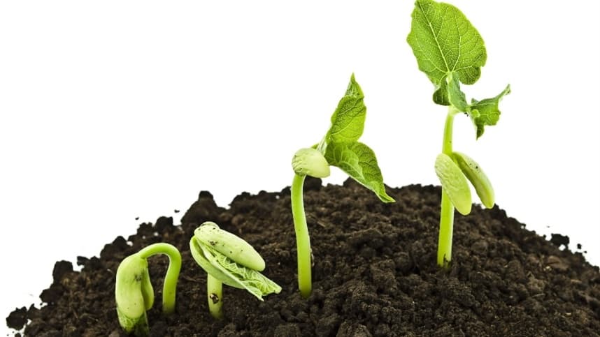 Essa discrepância entre um mercado de feijão promissor e os desafios climáticos enfrentados na região Sul ilustra a complexidade do setor agrícola