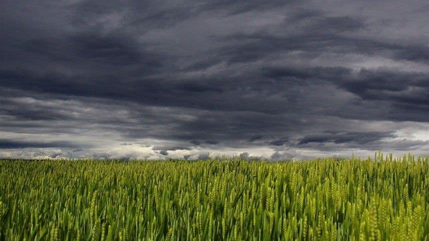 Clima: como monitoramento pode ajudar no campo