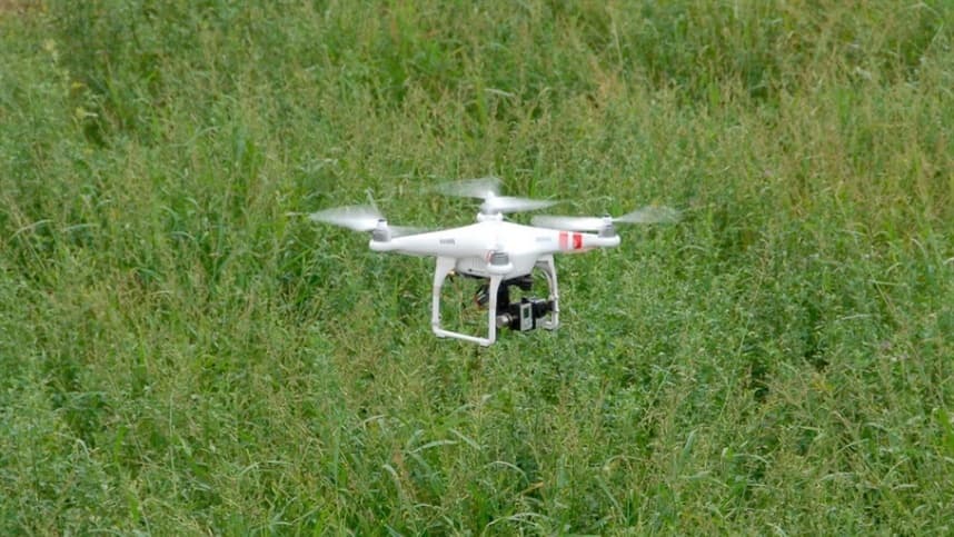 Drones detectam duas doenças do tomate com precisão de 99%