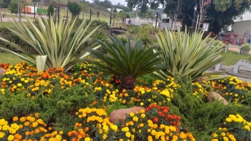 RS: Concurso Harmonia Mais Florida escolherá mais belos jardins