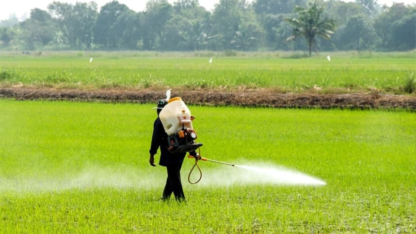 Diário Oficial traz prioridade para Programa de Redução de Agrotóxicos
