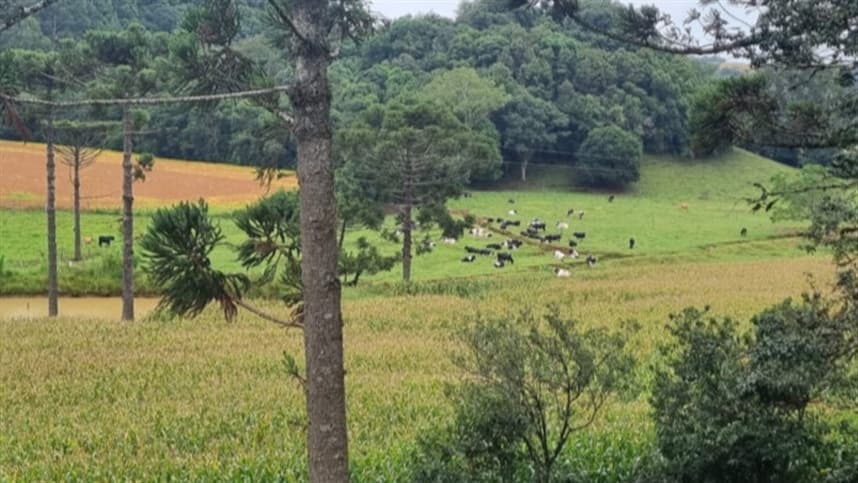 Diversificação fortalece família rural em Casca