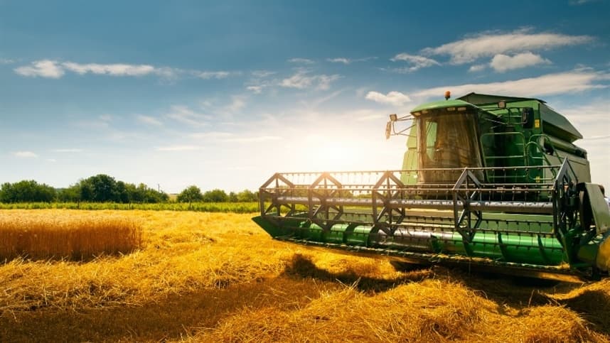 A colheita do trigo já cobriu 98,2% da área apta