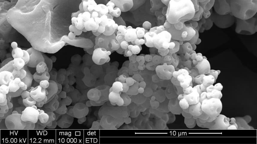 Nanopartículas de cobre controlam doenças na agricultura