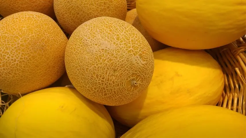 Os compradores europeus buscam produtos com sabor diferenciado