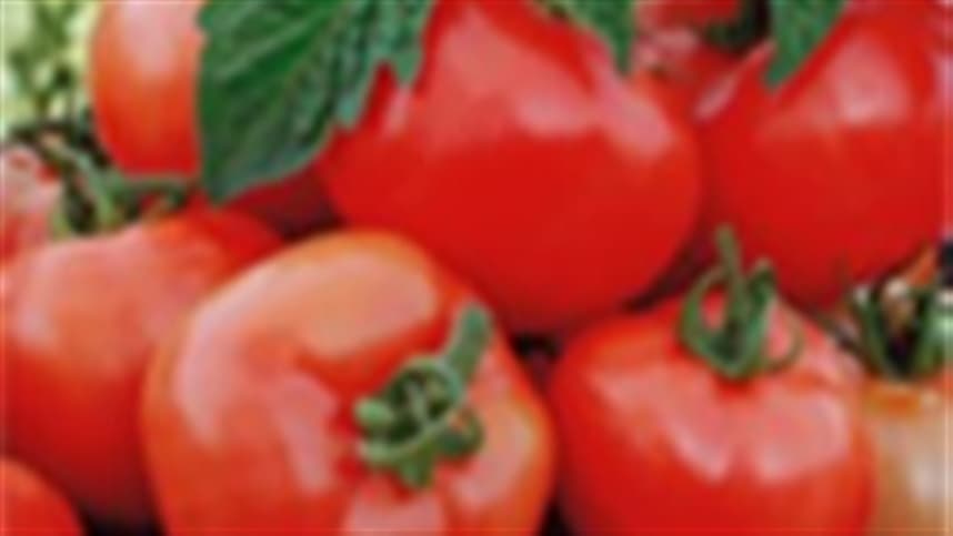 Ministério da Saúde cita tomate em livro publicado