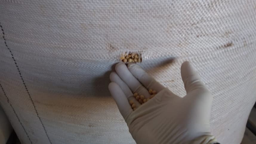 RS apreende 667 toneladas de sementes sem origem