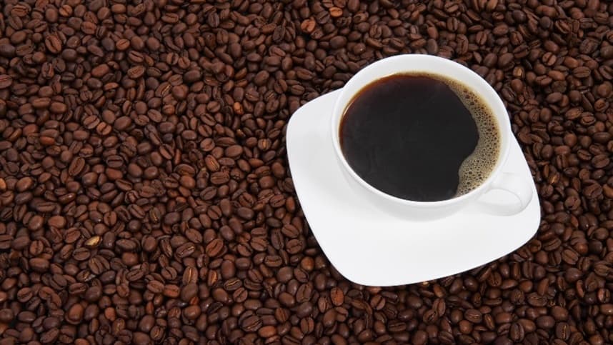 Excesso de chuva afeta safra de café mineira