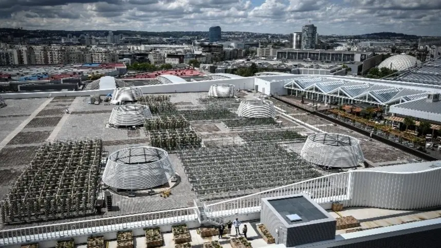 Conheça a maior horta urbana do mundo