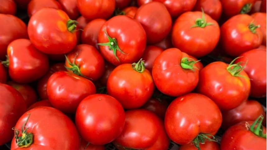 Preço do tomate dispara com até 30% de alta; saiba os motivos