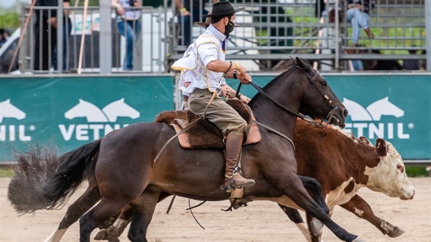 Definidas datas das Classificatórias ao Freio e Finais do Cavalo Crioulo