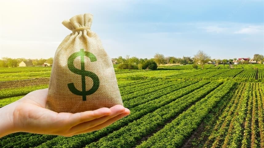 Tamanho continua importante, mas já não garante participação de mercado