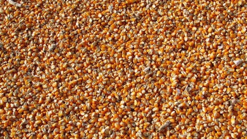 Menino morre soterrado em silo