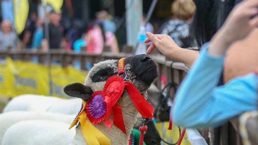 Prazo para inscrever animais de argola na Expointer é ampliado
