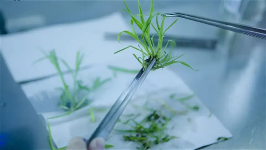Multinacional leiloa biofábrica completa no Brasil