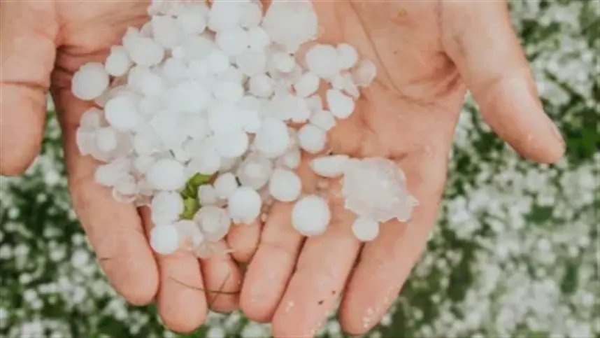 El Niño levanta preocupação por seguro agrícola